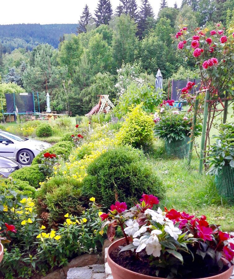 Apartamenty Dom Na Wzgorzu Gardenia Stronie Śląskie エクステリア 写真