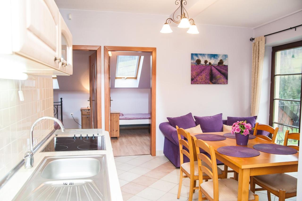 Apartamenty Dom Na Wzgorzu Gardenia Stronie Śląskie エクステリア 写真