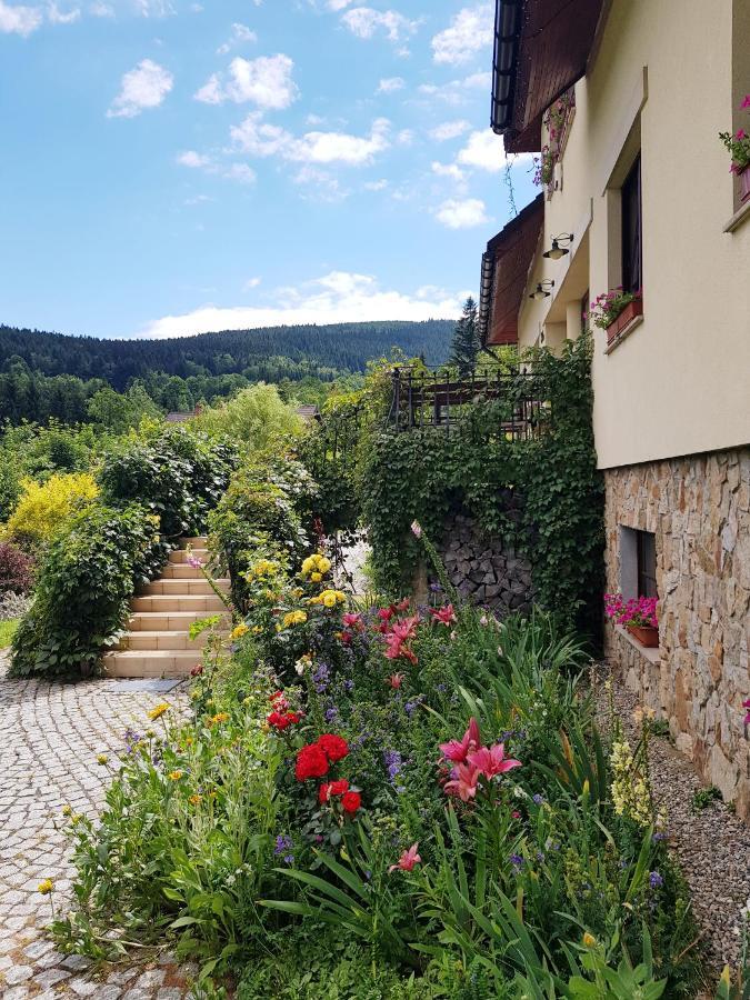 Apartamenty Dom Na Wzgorzu Gardenia Stronie Śląskie エクステリア 写真